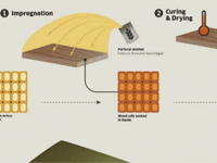 Sustainabilitu